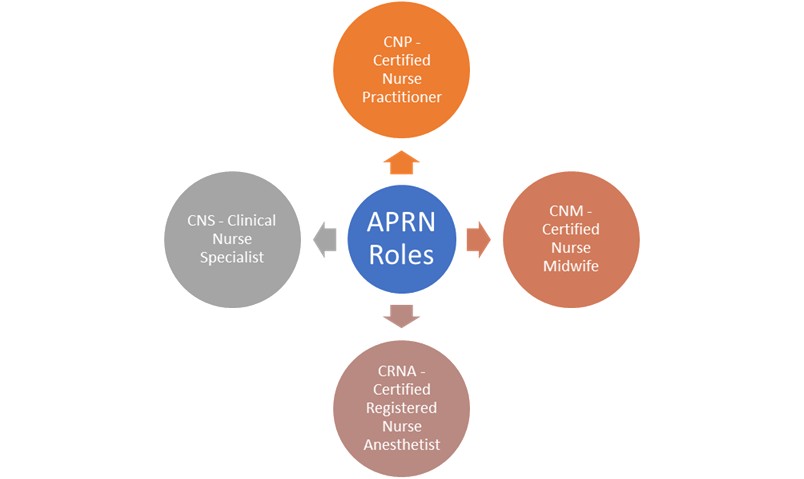 The Roles and Responsibilities of Advanced Practice Registered Nurses (APRNs)